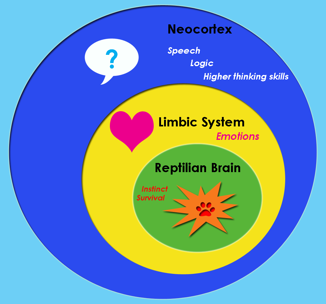 Triune_brain